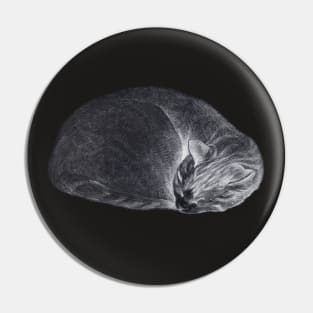 Rolled up lying, sleeping cat inversion Pin