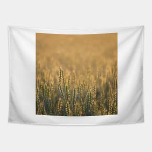 Common wheat Tapestry