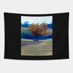 Fall Tree In Field 2 Tapestry