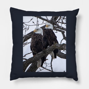 Bald eagles sitting on a branch Pillow