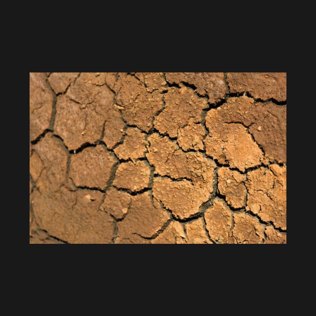 Dried soil texture by textural