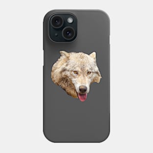 What beautiful Eyes You have! Phone Case