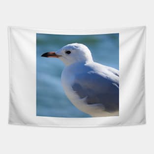 Silver Gull Tapestry