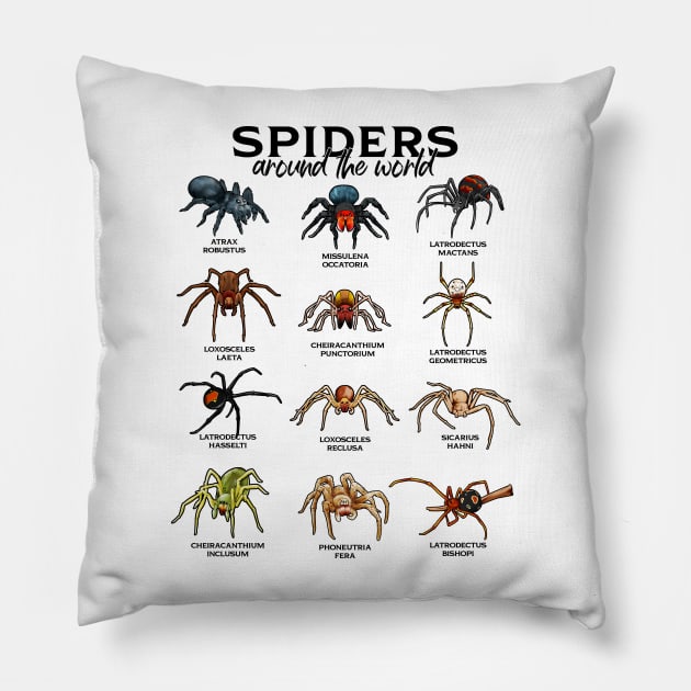 Spiders around the world - spider species Pillow by Modern Medieval Design