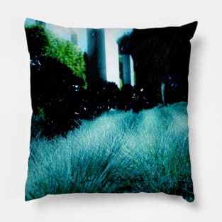 Alien Landscape - Getty Museum Gardens in Los Angeles Pillow