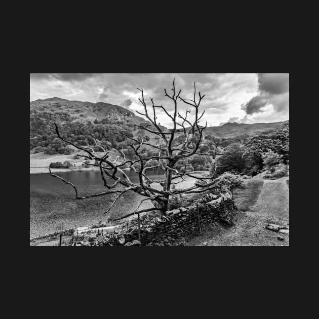 Old Tree at Rydal Water by Reg-K-Atkinson