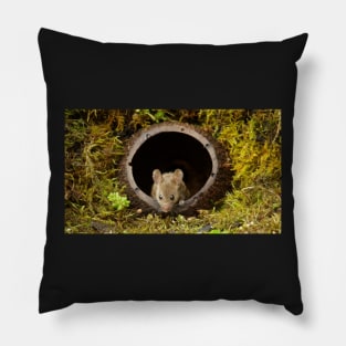 George the mouse in a log pile House - coconut shell house Pillow