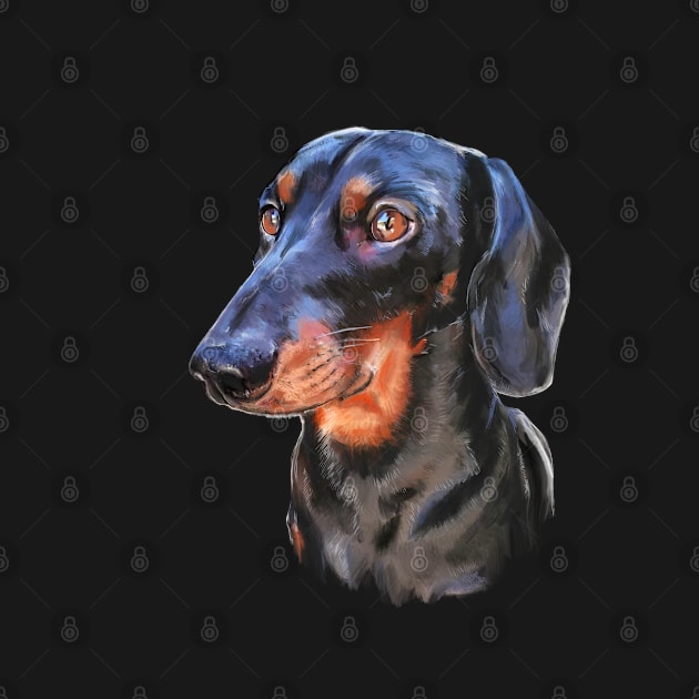 Sausage dog dachshund portrait by PG Illustration