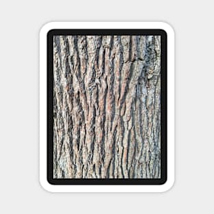 Bark - unknown #2 Magnet