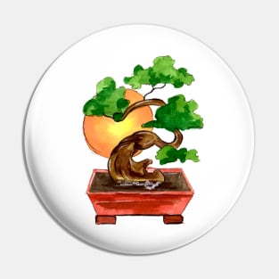 japanese bonsai tree and sun Pin