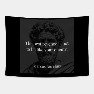 Marcus Aurelius's Triumph: Rising Above Revenge Tapestry