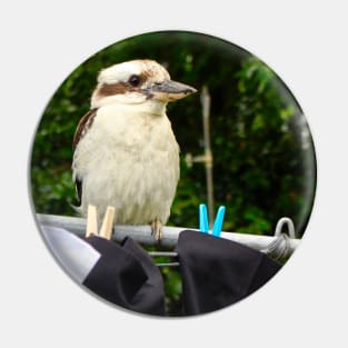 Kookaburra on the Line! Pin