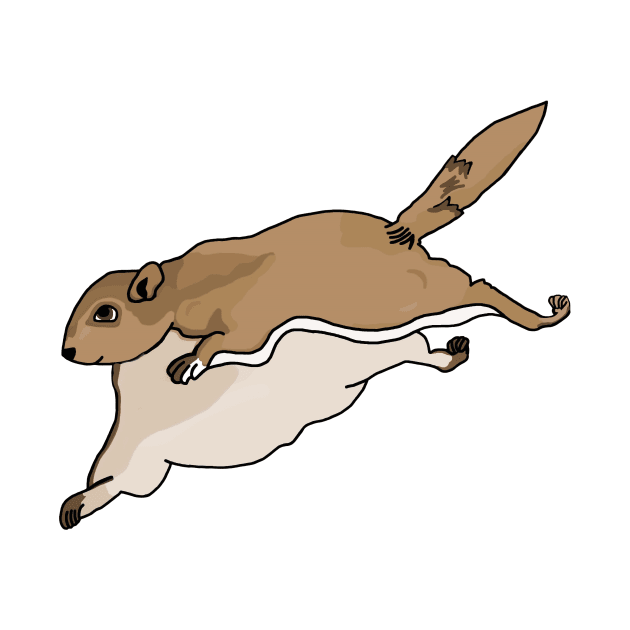 Flying Squirrel by imphavok