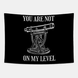 Funny Land Surveying | You Are Not On My Level Tapestry