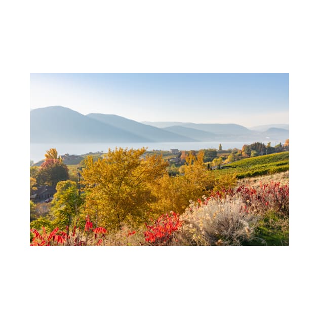 Okanagan Valley Autumn Landscape by Amy-K-Mitchell