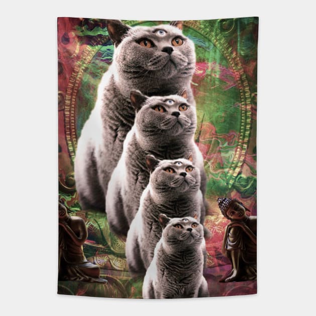 Cute Funny Buddha Cat - Third Eye Cat Tapestry by Random Galaxy