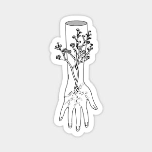 Parasite Hands: Sciaphila Magnet