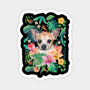 Tropical Short Haired Red White Chihuahua 2 Magnet