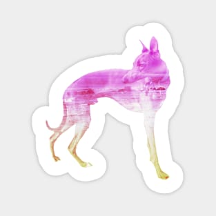 Pink & Yellow Waves Whippet Magnet