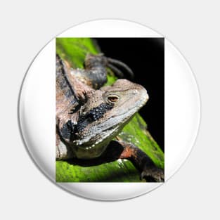 Eastern Water Dragon Pin