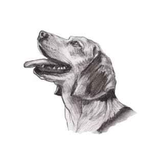 Classic Beagle Dog Profile Drawing T-Shirt