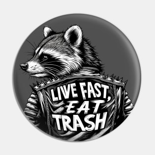 Rebel Raccoon: Streets & Scraps Pin