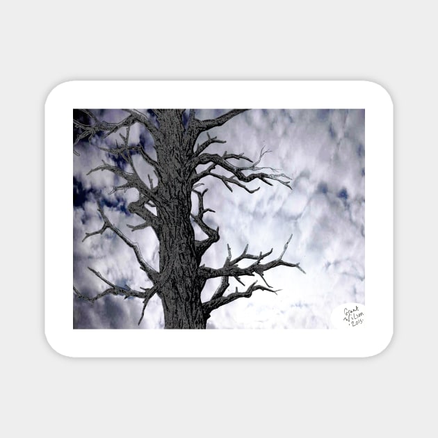 Dark Tree [Pen and Digital Illustration] Magnet by grantwilson