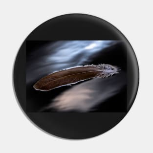 A Feather Floating on a Cold Lake Pin