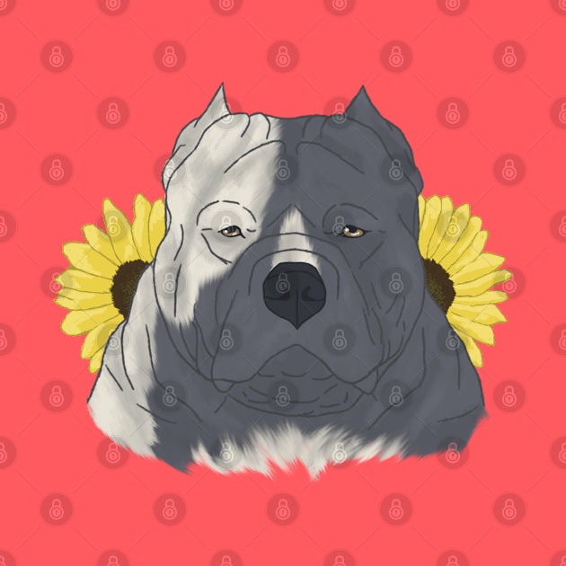 Blue Pied American Bully with Sunflowers by TrapperWeasel