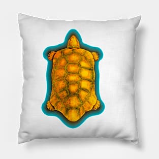 Tortoise Pillow