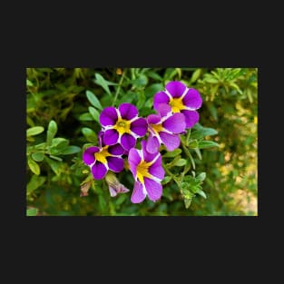 Pretty Purple Petunias T-Shirt