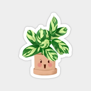 Cute Plant Illustration, Clathea Lubbersiana Magnet