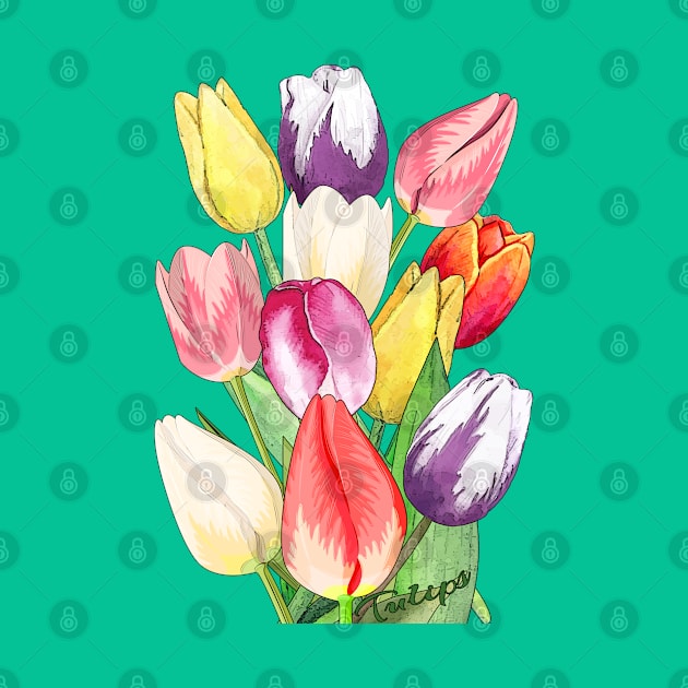 Tulips-Spring flowers by KrasiStaleva