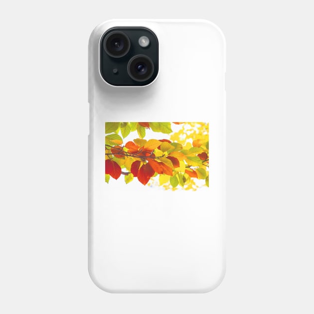 Colourful leaves on a white background Phone Case by Design A Studios