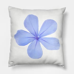 Blue Flower Photo Pillow