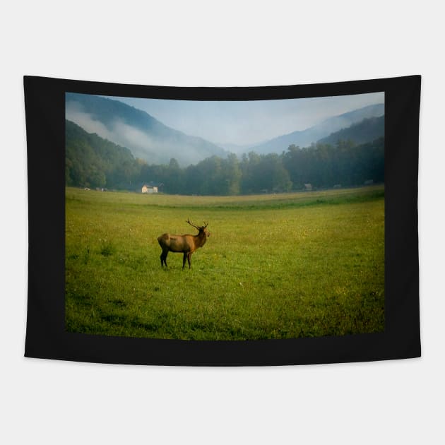 Elk in the Valley Tapestry by Ckauzmann