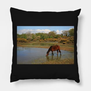 Setley Pond Pillow