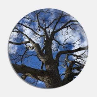 Branches Pin