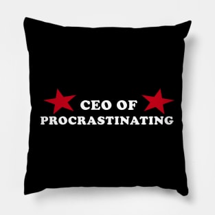 CEO of Procrastinating Pillow