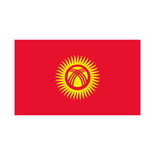 Flag of Kyrgyzstan T-Shirt