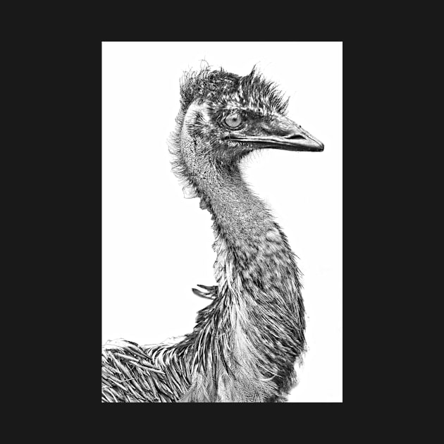 Emu by Elle Beth Art