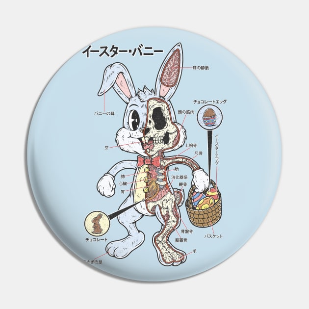 EASTER BUNNY ANATOMY Pin by Firebrander