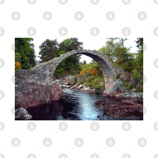 Carrbridge by tomg