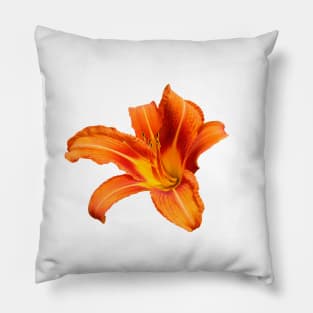 Orange Lily Pillow