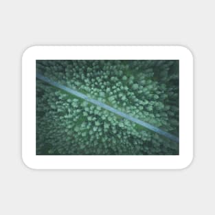 Car on the road going diagonally through the forest top down aerial view Magnet