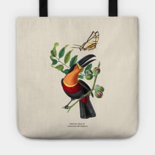 Toucan and Butterfly Antique Naturalist Illustration Tote