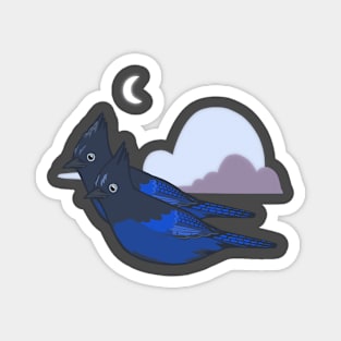 Stellar’s Jay Pair Magnet