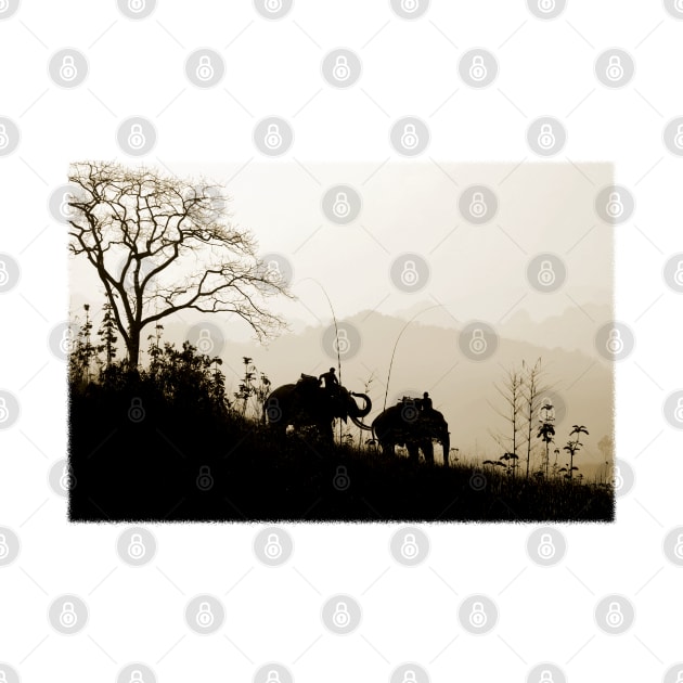 Asian Elephants Trekking In The Jungle Photograph by VintCam