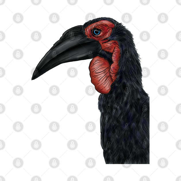 Southern Ground Hornbill Illustration by H. R. Sinclair