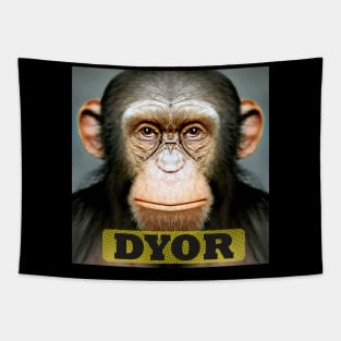 DYOR Funny Monkey Humorous Apes Animals Tapestry